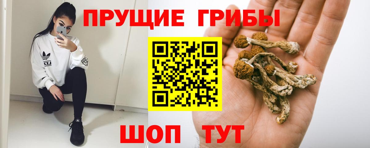 Псилоцибиновые грибы Psilocybine cubensis  Вход с VPN  Псилоцибиновые грибы Psilocybine cubensis  Югорск 